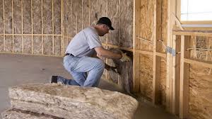 Best Eco-Friendly Insulation Solutions  in Mount Hermon, VA